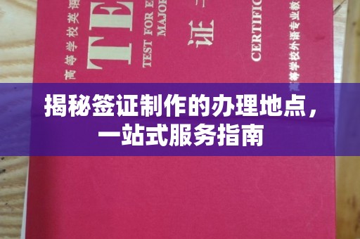 玉井揭秘签证制作的办理地点，一站式服务指南
